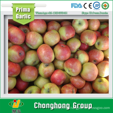 2015 New Crop Jiguan Apfel